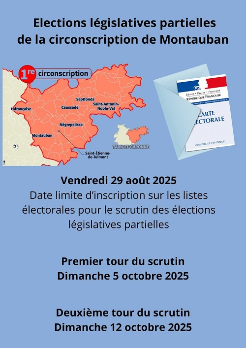 2025-08-22-image élections législatives partielles 2025-08-22-image élections législatives partielles