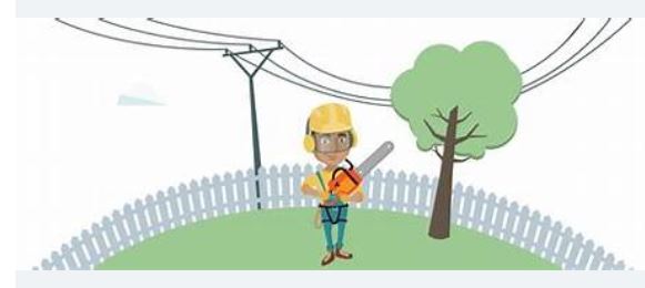 2026-01-22-Image élagage