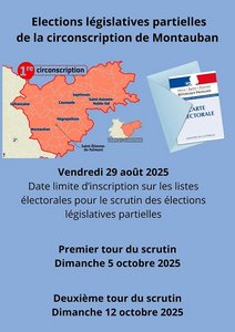 2025-08-22-image élections législatives partielles